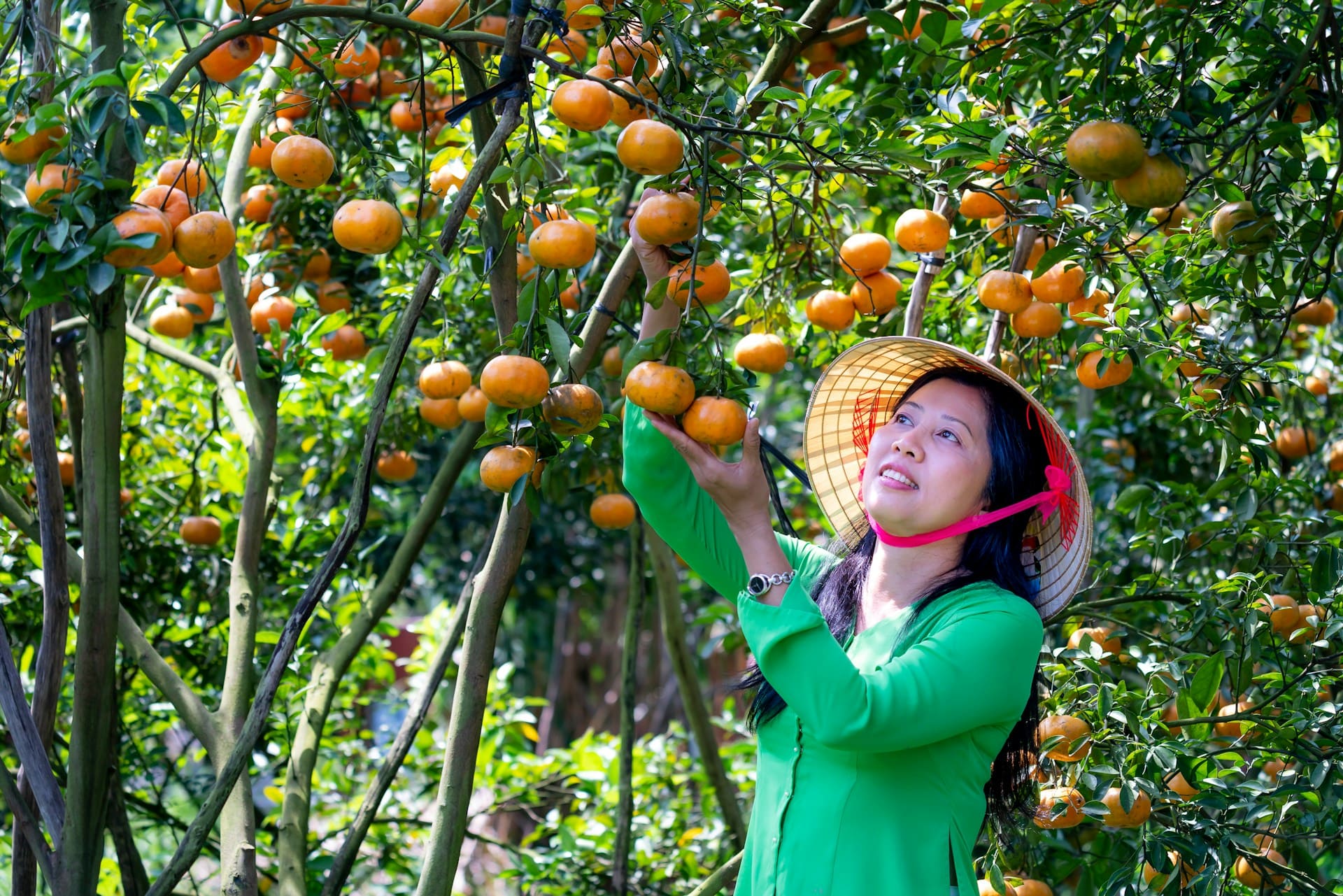 Nông Sản Việt